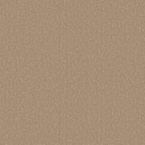 Shaw Floors Carpet Clever Choice Worn  Path 00700_5E808