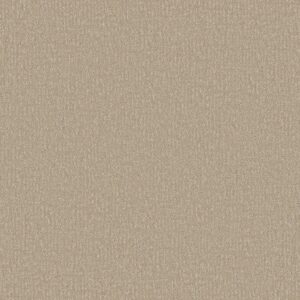 Shaw Floors Carpet Clever Design Twine 00100_5E809