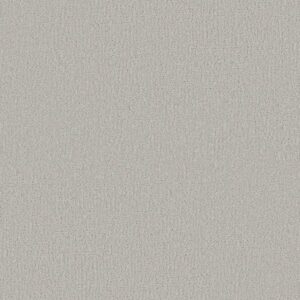 Shaw Floors Carpet Clever Design Forest Fog 00107_5E809
