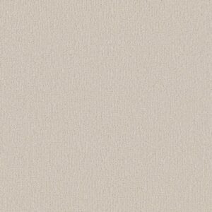 Shaw Floors Carpet Clever Design Scotch Mist 00109_5E809