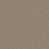 Shaw Floors Carpet Clever Design Kindling 00113_5E809