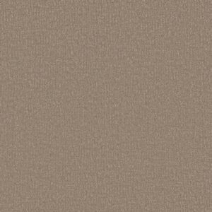 Shaw Floors Carpet Clever Design Kindling 00113_5E809