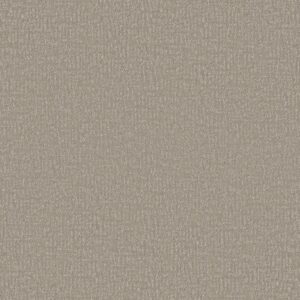 Shaw Floors Carpet Clever Design Sandstone 00115_5E809