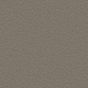 Shaw Floors Carpet Clever Design Fallen Acorn 00501_5E809