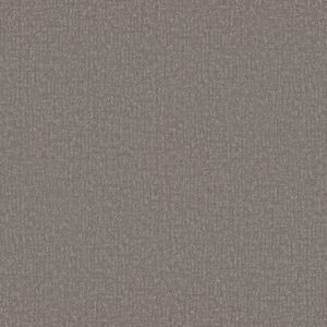 Shaw Floors Carpet Clever Design Lunar Haze 00509_5E809