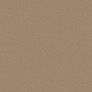 Shaw Floors Carpet Clever Design Worn  Path 00700_5E809