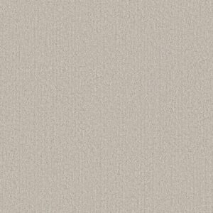 Shaw Floors Carpet Clever Blend Almond Silk 00101_5E810