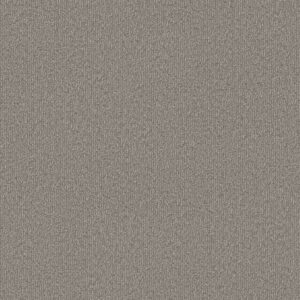 Shaw Floors Carpet Clever Blend River Birch 00106_5E810