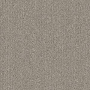Shaw Floors Carpet Clever Blend Chic Greige 00111_5E810