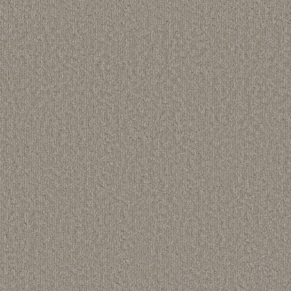 Shaw Floors Carpet Clever Blend Chic Greige 00111_5E810