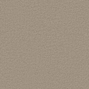 Shaw Floors Carpet Clever Blend Cameo 00113_5E810