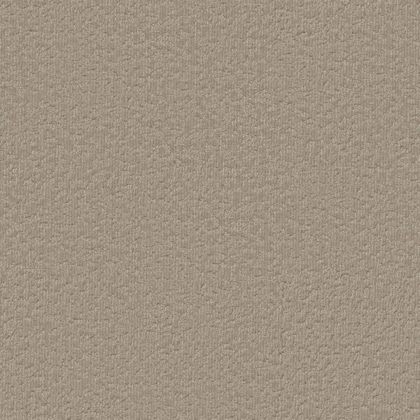 Shaw Floors Carpet Clever Blend Cameo 00113_5E810