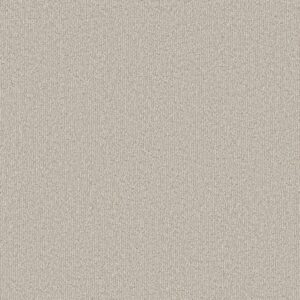 Shaw Floors Carpet Clever Blend Subtle Clay 00114_5E810