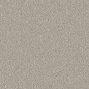 Shaw Floors Carpet Clever Blend Sculpture 00115_5E810