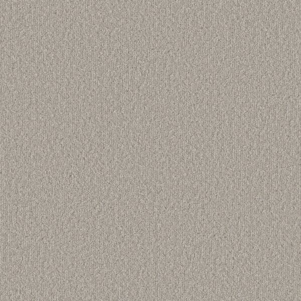 Shaw Floors Carpet Clever Blend Sculpture 00115_5E810