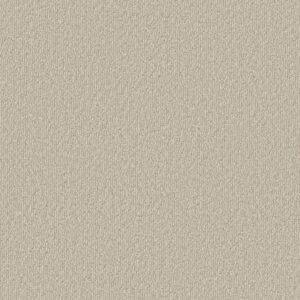 Shaw Floors Carpet Clever Blend Warm Light 00116_5E810