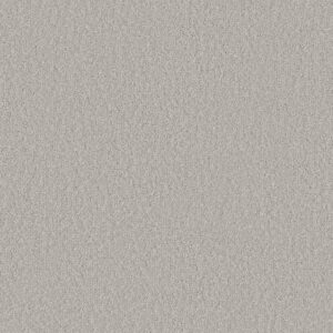 Shaw Floors Carpet Clever Blend Rock Crystal 00508_5E810
