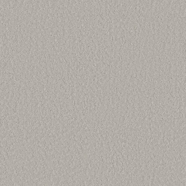 Shaw Floors Carpet Clever Blend Rock Crystal 00508_5E810