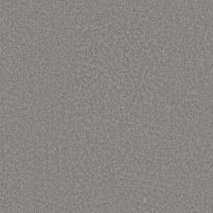 Shaw Floors Carpet Clever Blend Vintage 00509_5E810