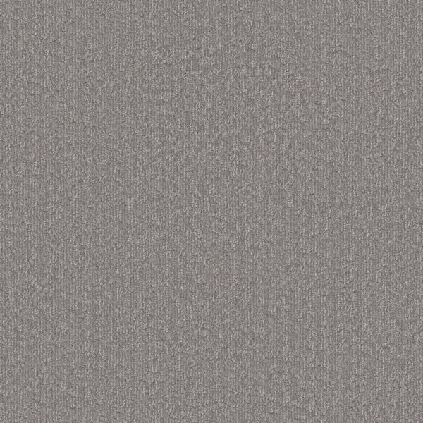 Shaw Floors Carpet Clever Blend Vintage 00509_5E810