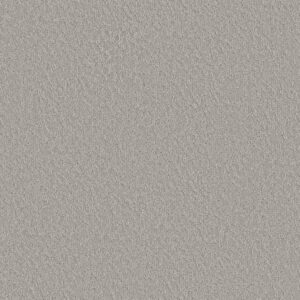 Shaw Floors Carpet Clever Blend Gravity 00556_5E810