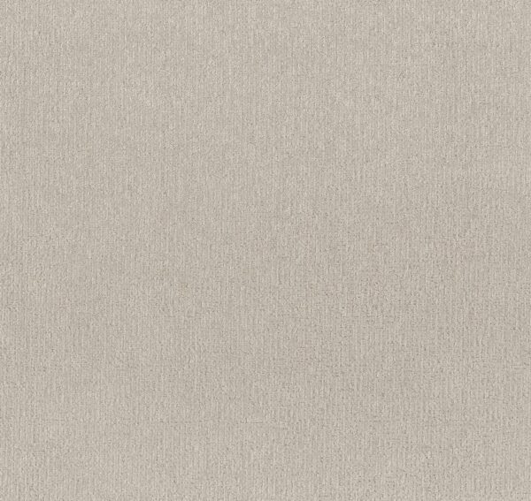 Shaw Floors Carpet Clever Art Almond Silk 00101_5E811