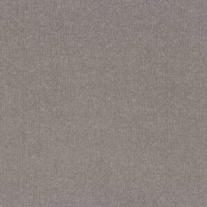 Shaw Floors Carpet Clever Art River Birch 00106_5E811