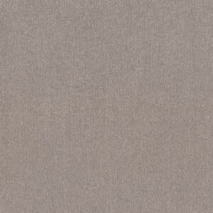 Shaw Floors Carpet Clever Art Chic Greige 00111_5E811