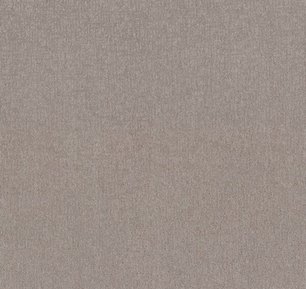 Shaw Floors Carpet Clever Art Chic Greige 00111_5E811