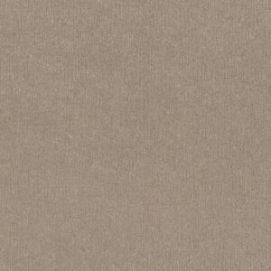 Shaw Floors Carpet Clever Art Cameo 00113_5E811
