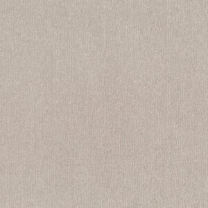 Shaw Floors Carpet Clever Art Subtle Clay 00114_5E811