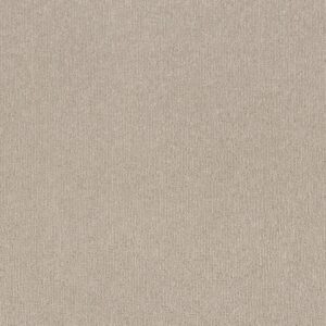 Shaw Floors Carpet Clever Art Warm Light 00116_5E811