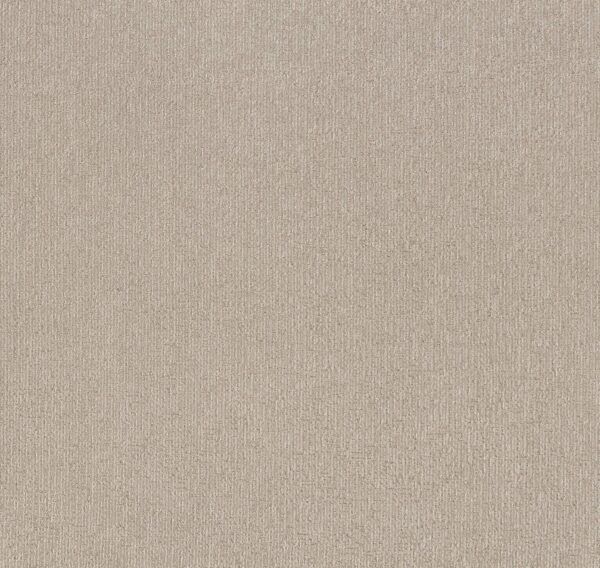 Shaw Floors Carpet Clever Art Warm Light 00116_5E811