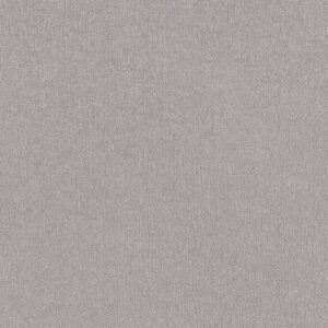 Shaw Floors Carpet Clever Art Gravity 00556_5E811
