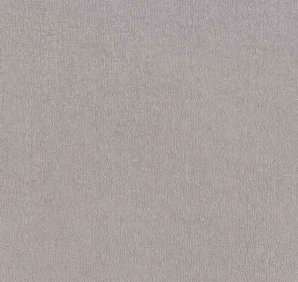 Shaw Floors Carpet Clever Art Gravity 00556_5E811