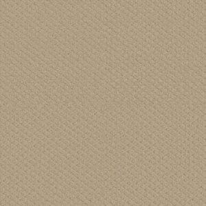 Shaw Floors Carpet Midland Charm Soft Honey 00102_5E818