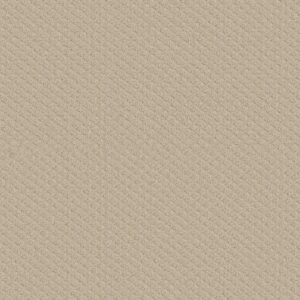 Shaw Floors Carpet Midland Charm Sentimental 00103_5E818