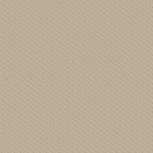 Shaw Floors Carpet Midland Charm Sentimental 00103_5E818