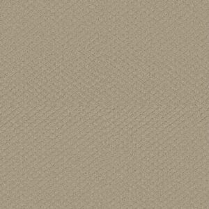 Shaw Floors Carpet Midland Charm Boutique 00104_5E818