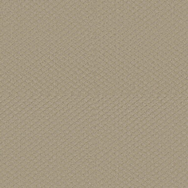 Shaw Floors Carpet Midland Charm Boutique 00104_5E818
