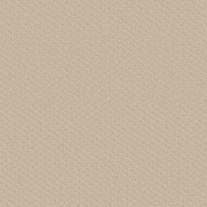 Shaw Floors Carpet Midland Charm Better Beige 00150_5E818