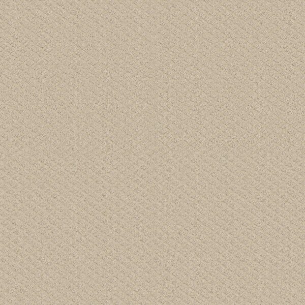 Shaw Floors Carpet Midland Charm Better Beige 00150_5E818