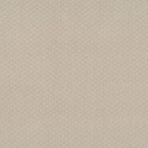 Shaw Floors Carpet Midland Charm Alabaster 00172_5E818