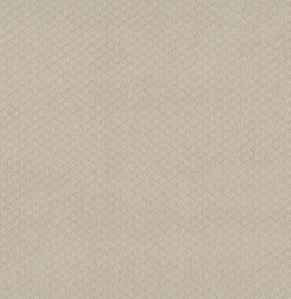 Shaw Floors Carpet Midland Charm Alabaster 00172_5E818