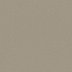 Shaw Floors Carpet Midland Charm Studio Taupe 00173_5E818