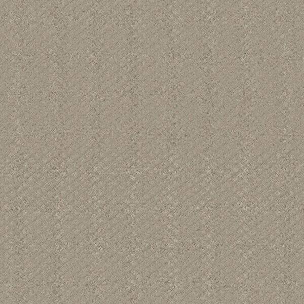 Shaw Floors Carpet Midland Charm Studio Taupe 00173_5E818
