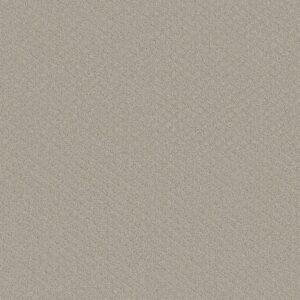 Shaw Floors Carpet Midland Charm Quiet Moment 00175_5E818