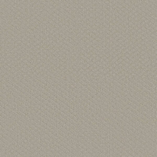 Shaw Floors Carpet Midland Charm Quiet Moment 00175_5E818