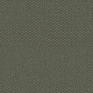 Shaw Floors Carpet Midland Charm Cedar Glen 00350_5E818