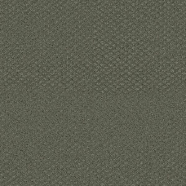 Shaw Floors Carpet Midland Charm Cedar Glen 00350_5E818